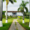 aava-turismo-bananal-sp